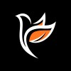 Nexus Spring of Code